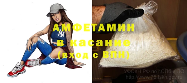 прущие грибы Карталы