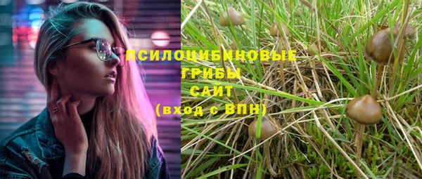 мдпв Карпинск