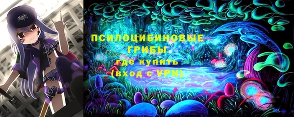 мдпв Карпинск