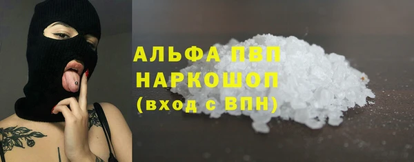 прущие грибы Карталы