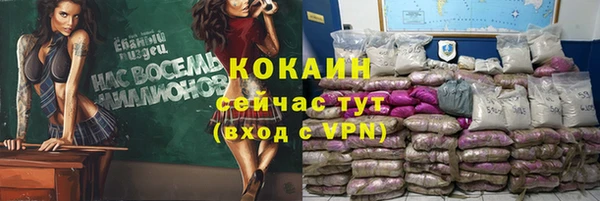 прущие грибы Карталы