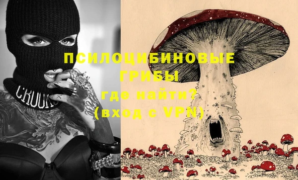прущие грибы Карталы