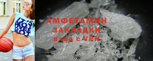 прущие грибы Карталы