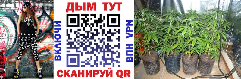Купить  Буинск  Канабис конопля 